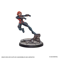 Marvel Crisis Protocol: Hawkeye & Black Widow