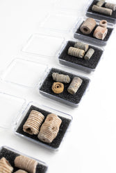 Crinoid Fossil (Online Order Only)