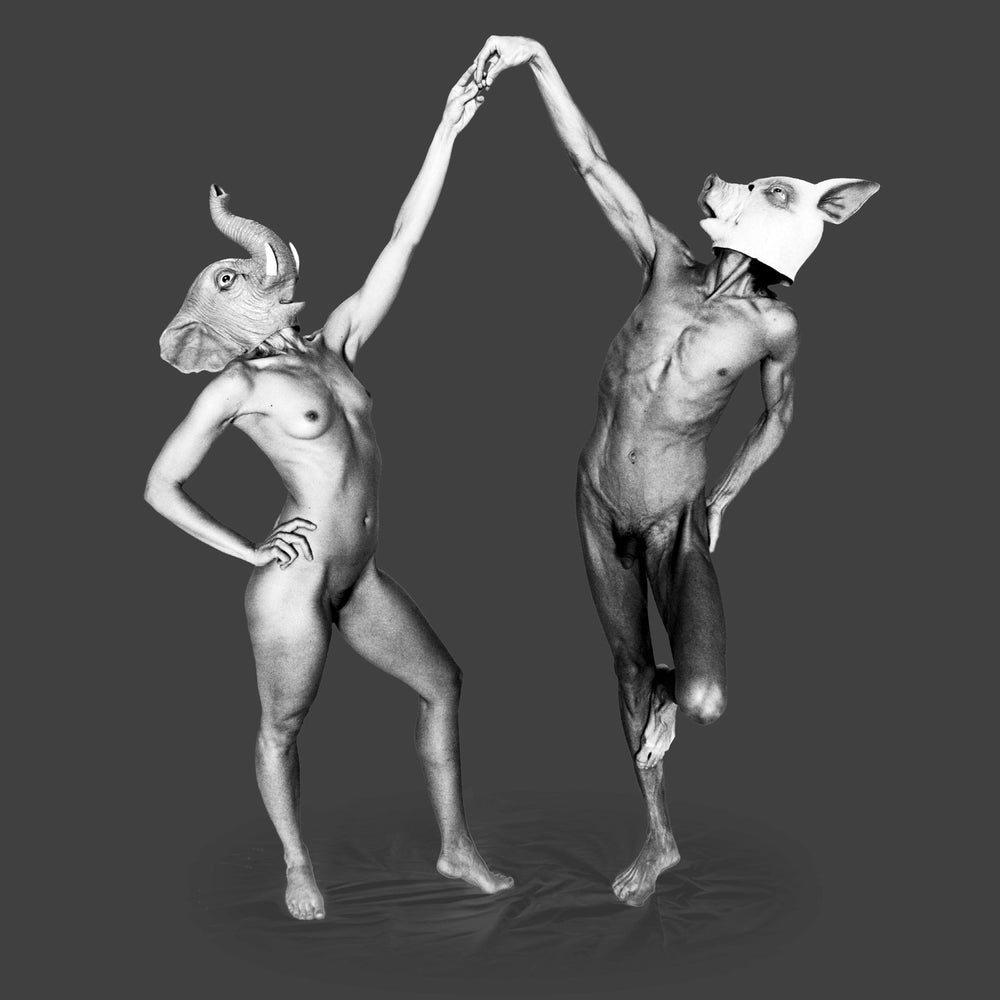 Forfeit/Fortune (Deluxe CD+DVD ) [CD] (ONLINE ORDER ONLY)