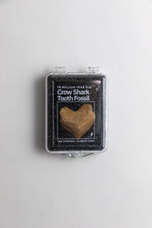 Crow Shark Tooth Fossil (Online Order Only)
