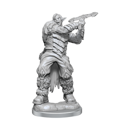 Critical Role: Ashari Stoneguard & Ashari Skydancer (ONLINE ORDER ONLY)