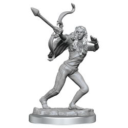 Critical Role: Ashari Stoneguard & Ashari Skydancer (ONLINE ORDER ONLY)