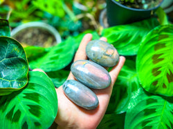 SUNSET Labradorite Palm Stone, Orange Labradorite, Yellow Labradorite, Pink Labradorite (ONLINE ORDER ONLY)