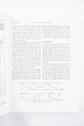 Current Ripples: Their Relation to Patterns of Water and Sediment Motion (ONLINE ORDER ONLY)