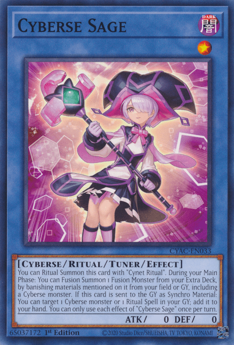 Cyberse Sage [CYAC-EN033] Common (ONLINE ORDER ONLY)