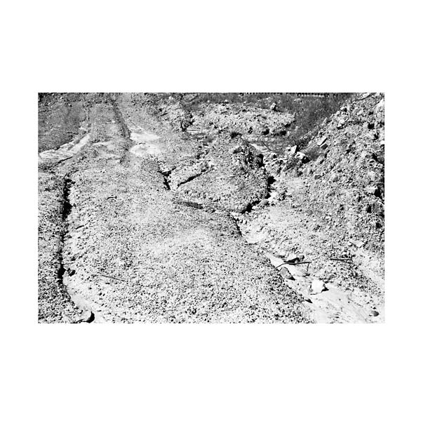 Daniel Bachman - Grey-Black-Green [Vinyl] (ONLINE ORDER ONLY)