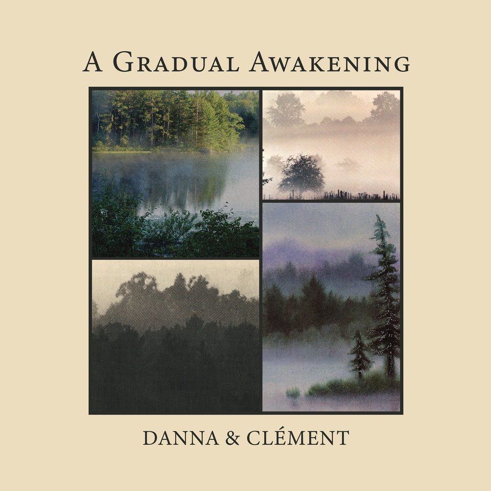 A Gradual Awakening [Vinyl] (ONLINE ORDER ONLY)