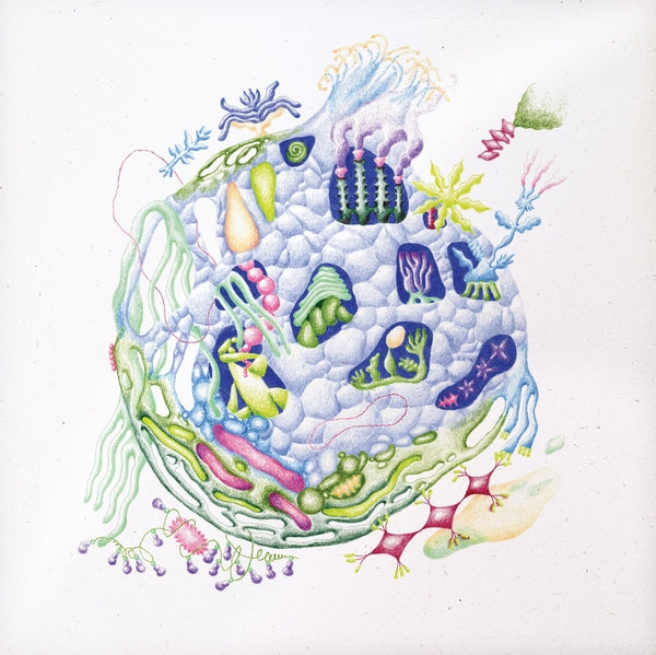 Binnenin [Vinyl] (ONLINE ORDER ONLY)