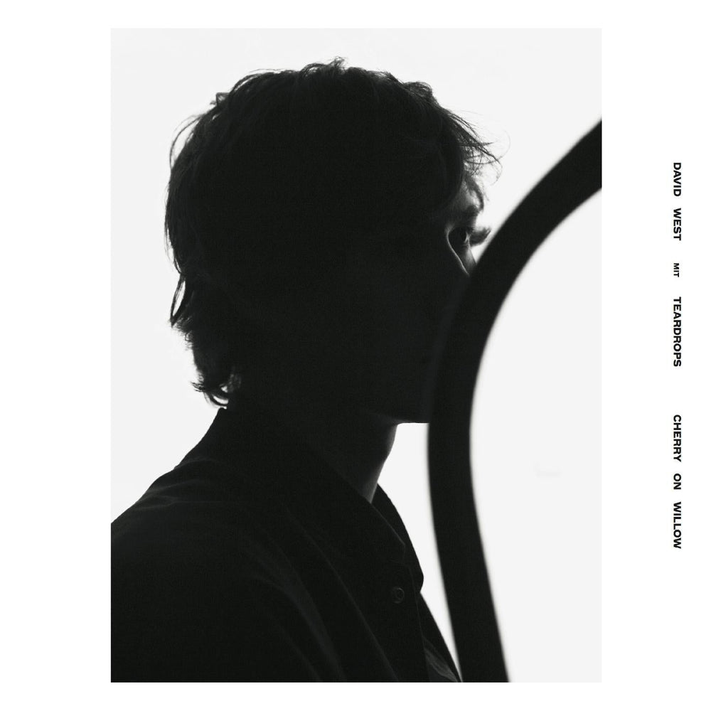 David With Teardrops West - Cherry On Willow [CD] (ONLINE ORDER ONLY)