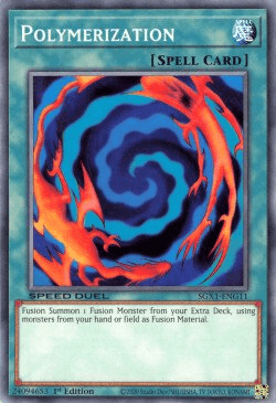 Polymerization [SGX1-ENG11] Common (ONLINE ORDER ONLY)