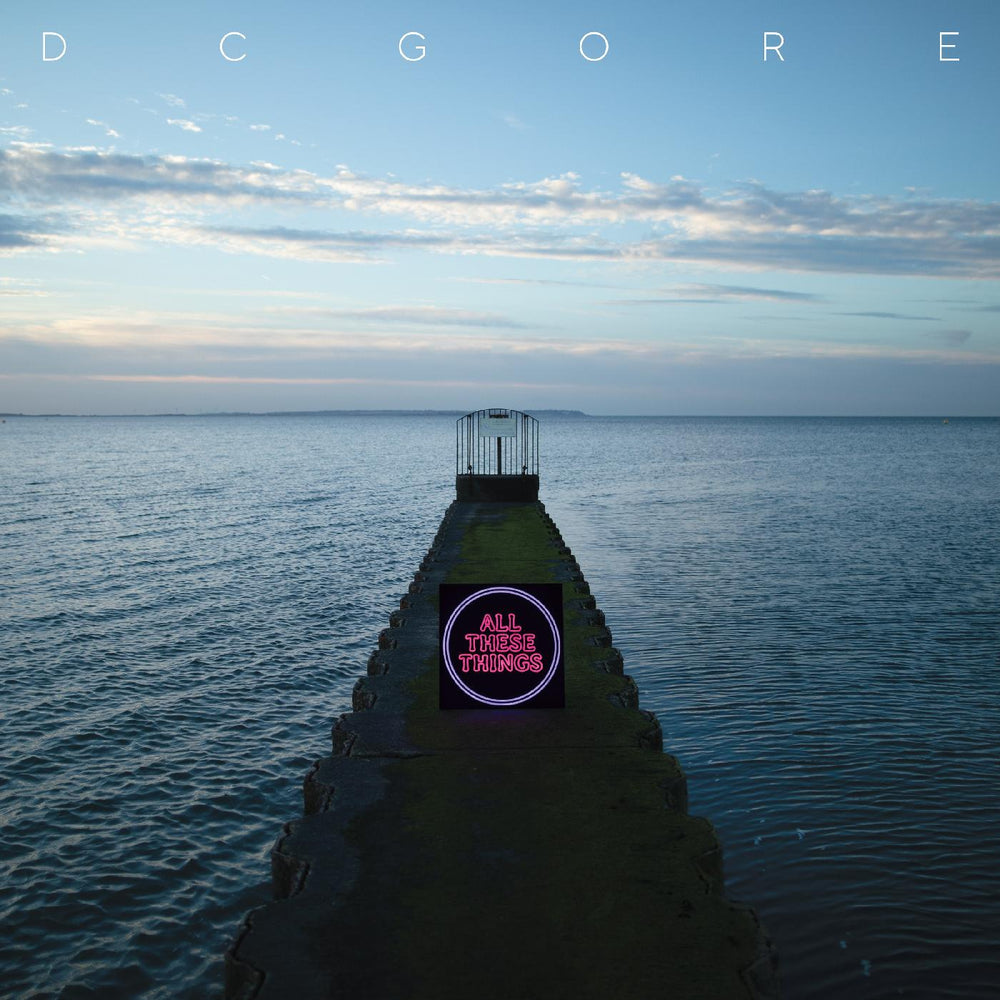 All These Things [Vinyl]