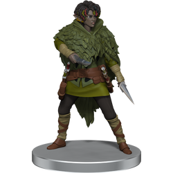 D&D: Icons of the Realms - Dragonlance - Warrior Set (ONLINE ORDER ONLY)