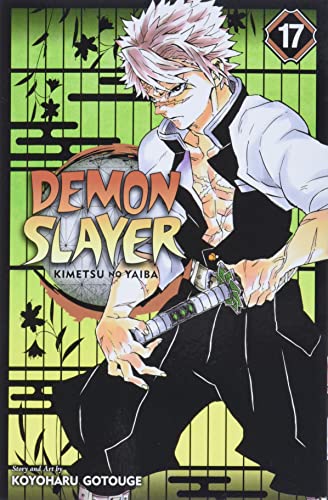 Demon Slayer Vol 17 (Online Order Only)