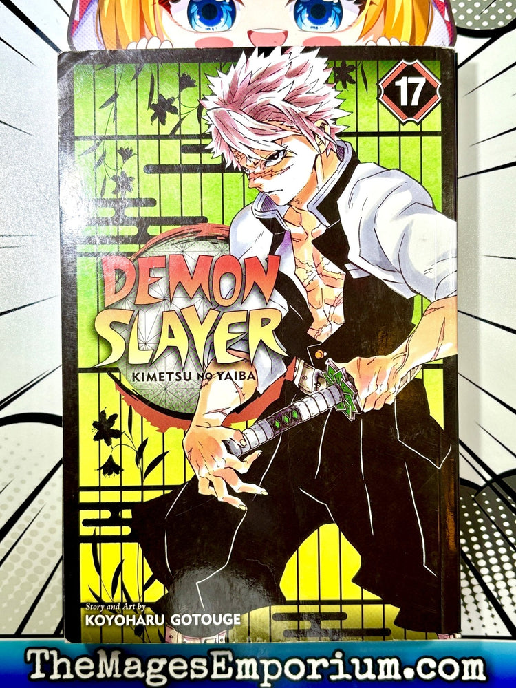 Demon Slayer Vol 17 (Online Order Only)
