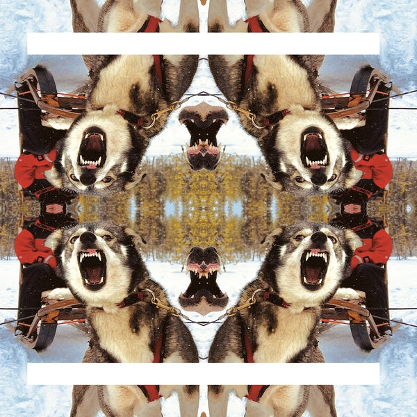 Ii [Vinyl] (ONLINE ORDER ONLY)