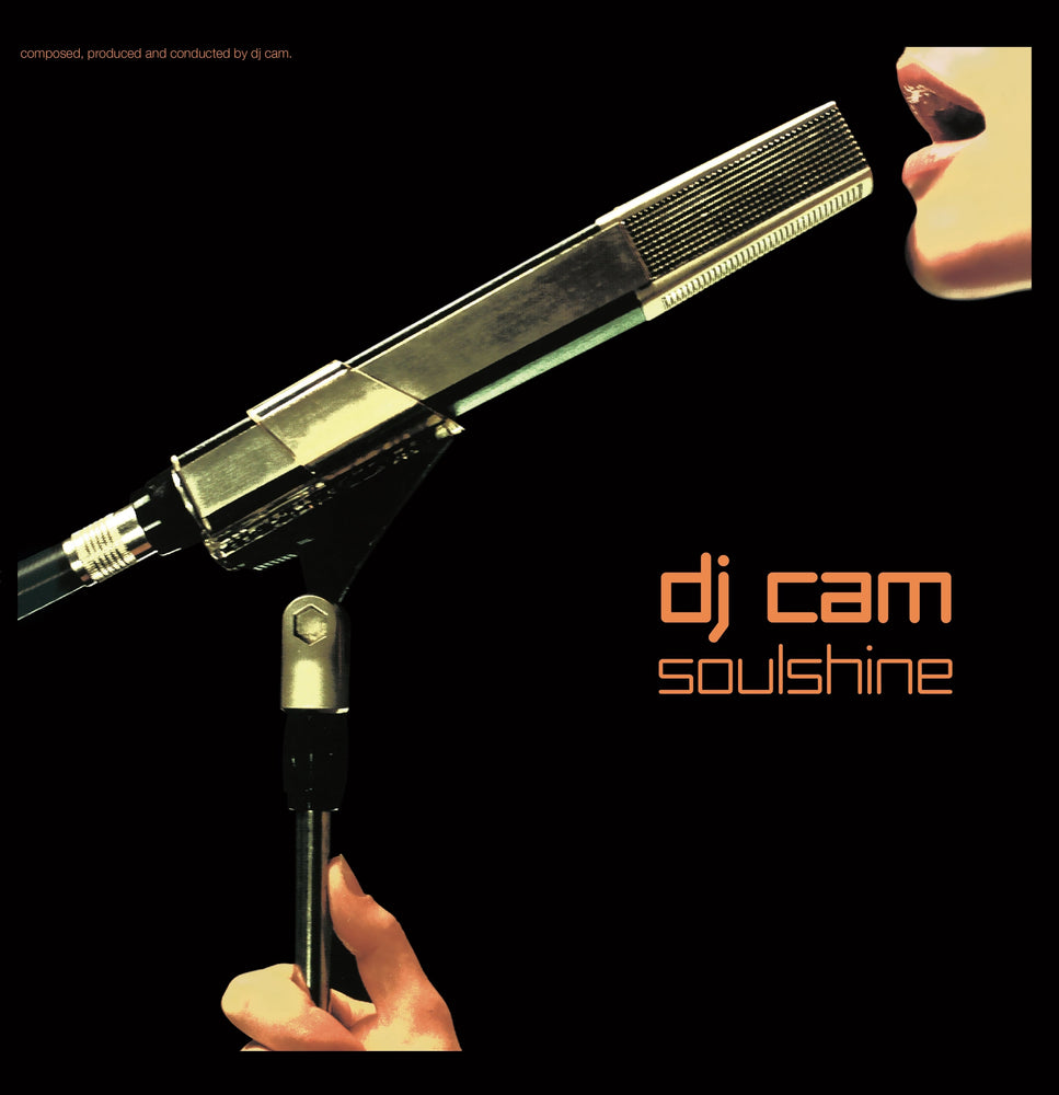 Soulshine [Vinyl] (ONLINE ORDER ONLY)