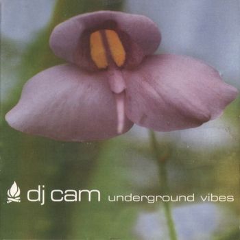 Underground Vibes [Vinyl] (ONLINE ORDER ONLY)