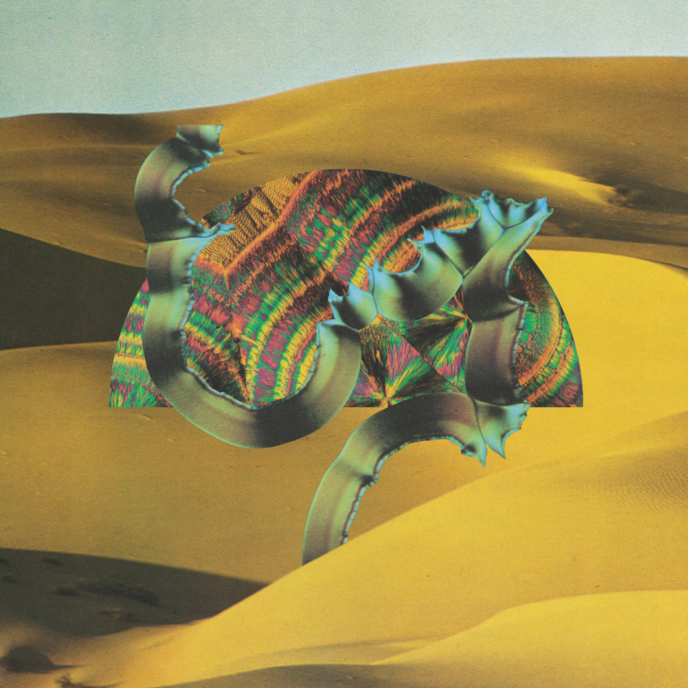 Django Django [Vinyl] (ONLINE ORDER ONLY)
