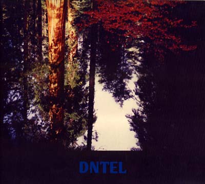 DNTEL - Aimlessness [CD] (ONLINE ORDER ONLY)