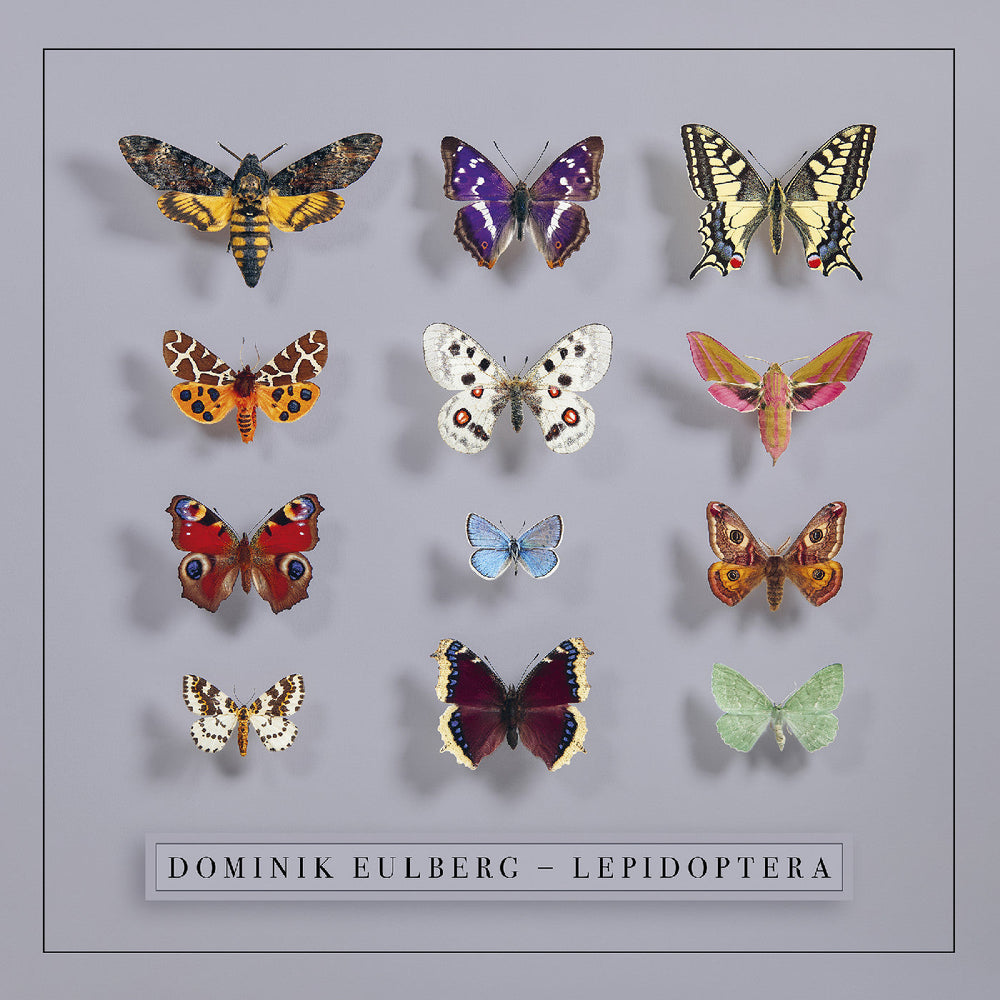 Lepidoptera [Vinyl] (ONLINE ORDER ONLY)