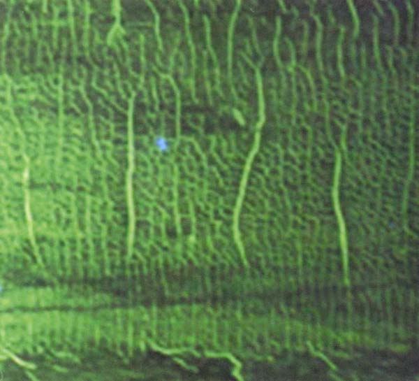 DONATO DOZZY - K [CD] (ONLINE ORDER ONLY)