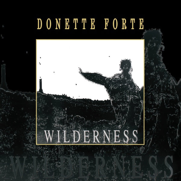 Wilderness [Vinyl] (ONLINE ORDER ONLY)