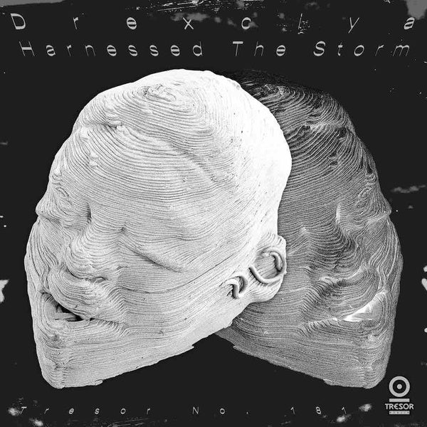 Harnessed The Storm [Vinyl] (ONLINE ORDER ONLY)
