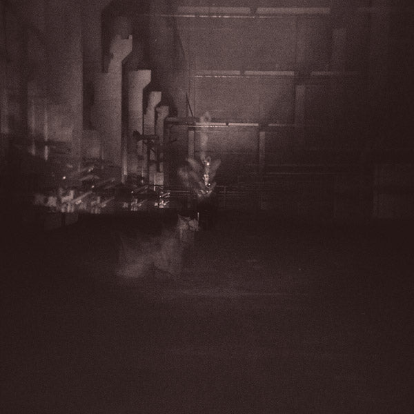 DUB TAYLOR - Caves & Cages [Vinyl] (ONLINE ORDER ONLY)