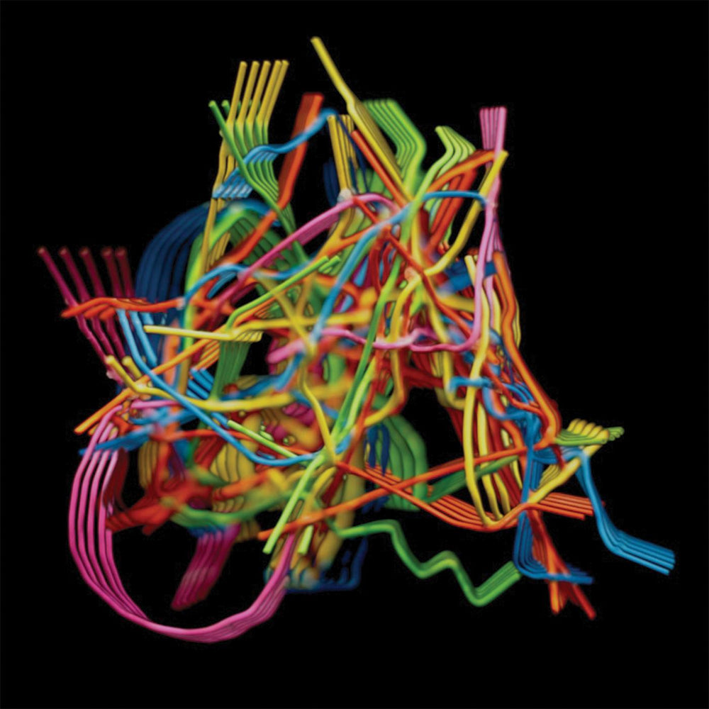 Perpetual Morphosis [CD] (ONLINE ORDER ONLY)