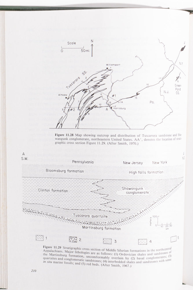 Dynamic Stratigrpaphy: An Introduction to Stratigraphy and Sedimentation (ONLINE ORDER ONLY)
