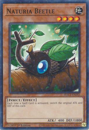 Naturia Beetle (Duel Terminal) [HAC1-EN093] Common (ONLINE ORDER ONLY)