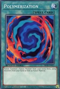 Polymerization [SBCB-EN011] Common (ONLINE ORDER ONLY)