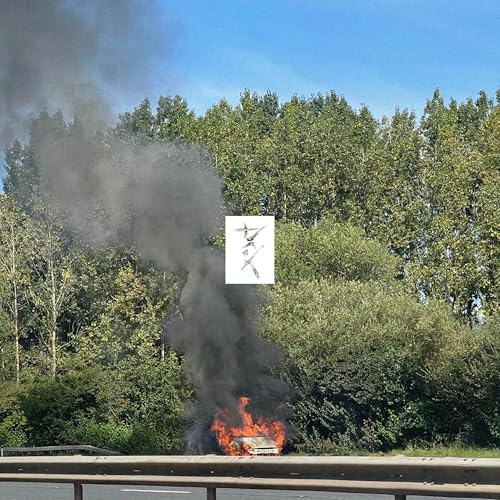 Dark [Vinyl] (ONLINE ORDER ONLY)