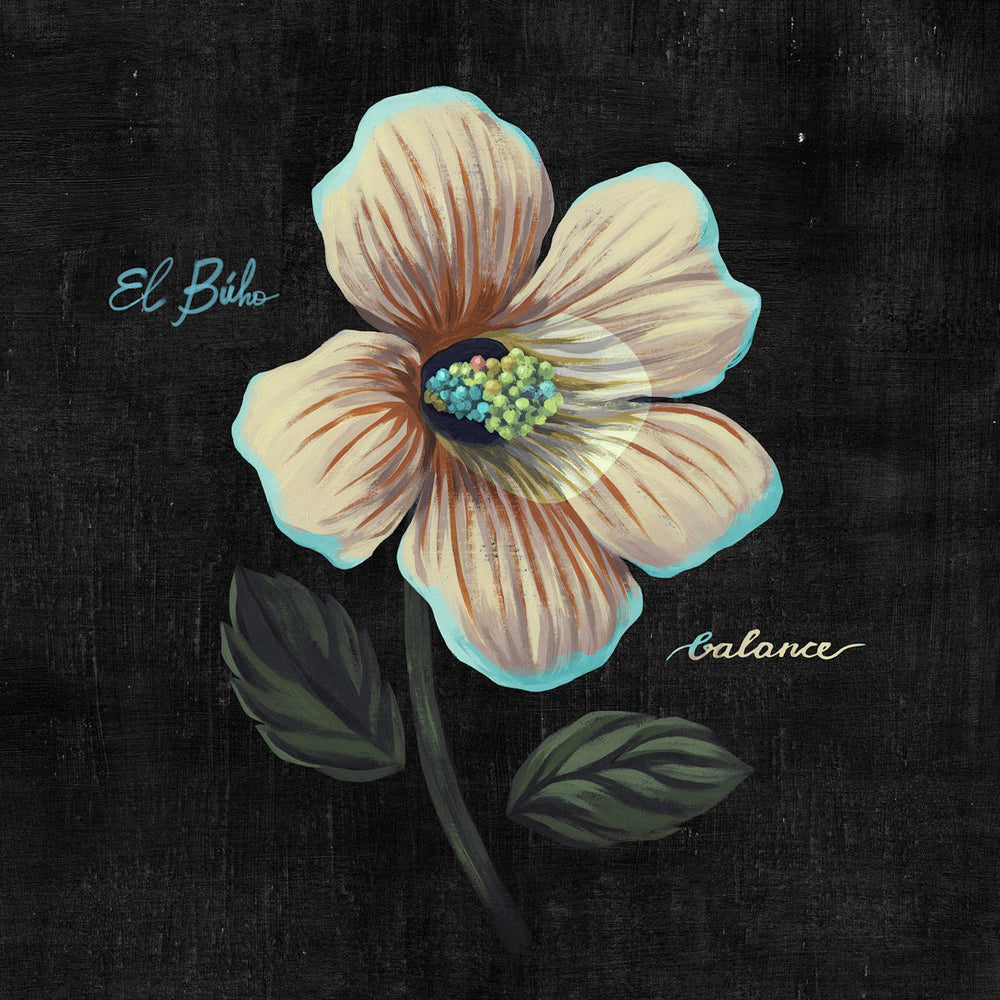 Balance (Cd Reissue) [CD]