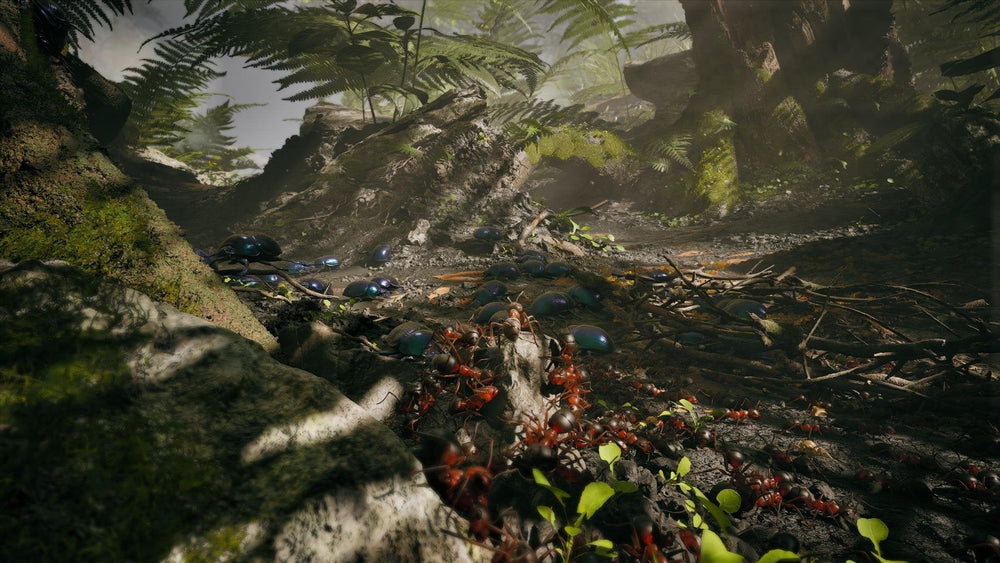 Empire of the Ants - PC (ONLINE ORDER ONLY)