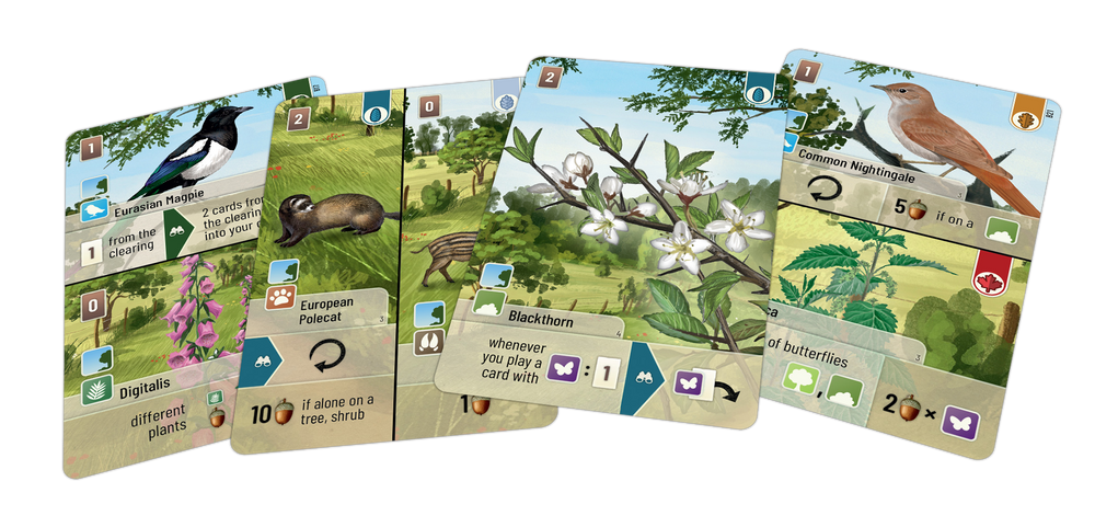Forest Shuffle: Woodland Edge (ONLINE ORDER ONLY)