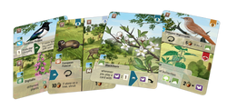 Forest Shuffle: Woodland Edge (ONLINE ORDER ONLY)