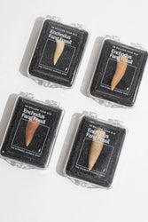Enchodus Fang (ONLINE ORDER ONLY)