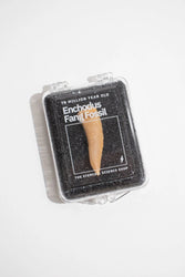 Enchodus Fang (ONLINE ORDER ONLY)
