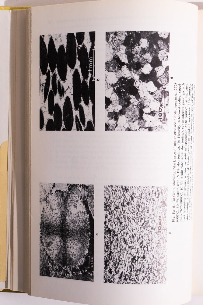Energetics of Geological Processess (ONLINE ORDER ONLY)