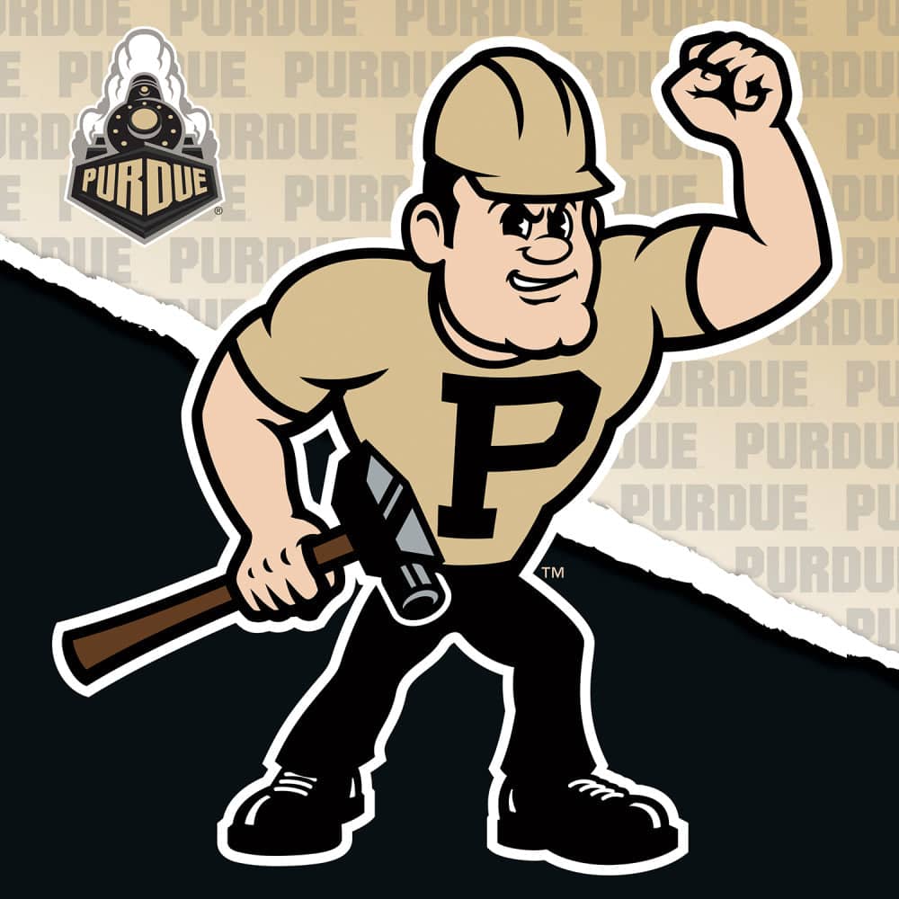Purdue Boilermakers - NCAA Mascot 100 Piece Jigsaw Puzzle (ONLINE ORDER ONLY)
