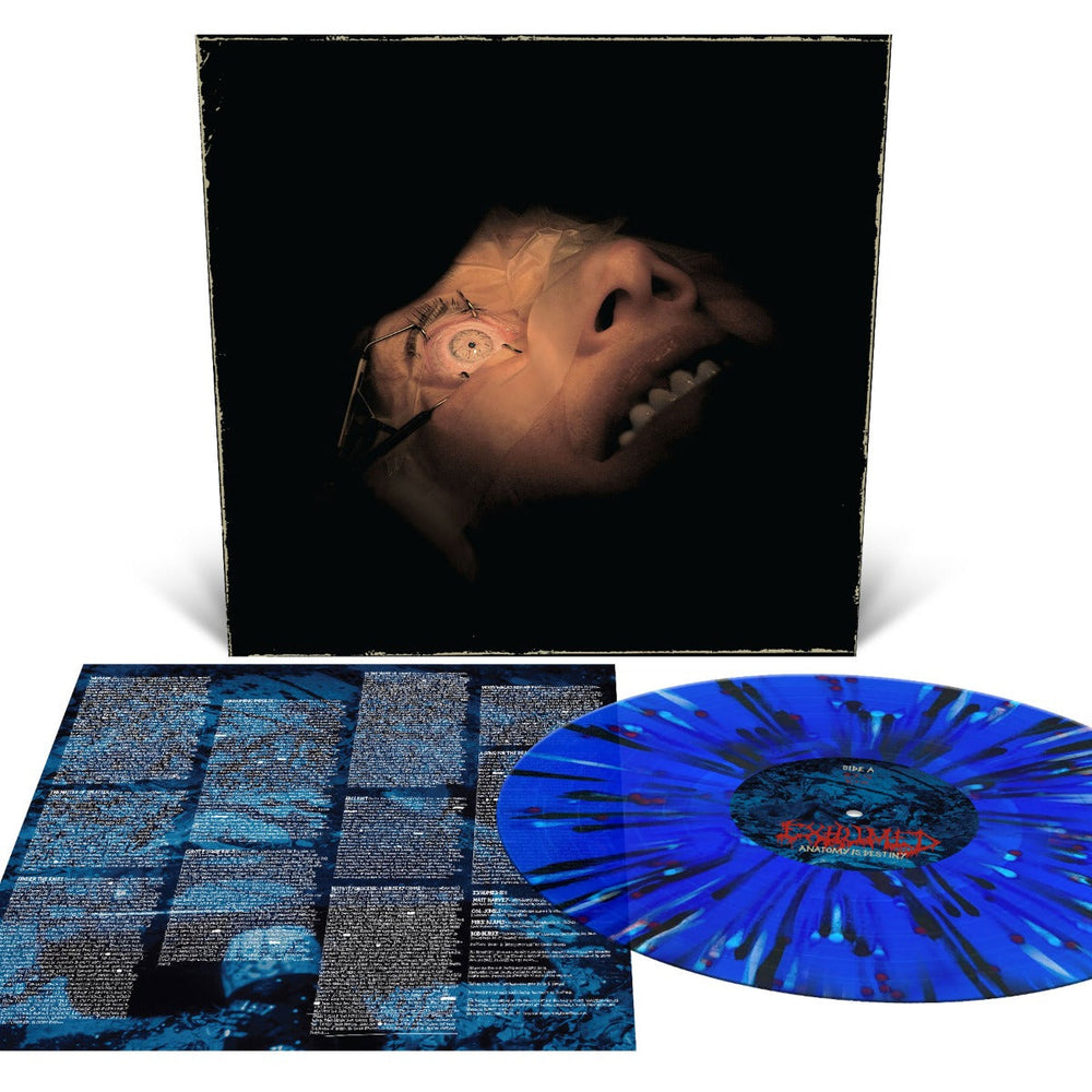 Anatomy Is Destiny (Royal Blue with Splatter) [Vinyl] (ONLINE ORDER ONLY)