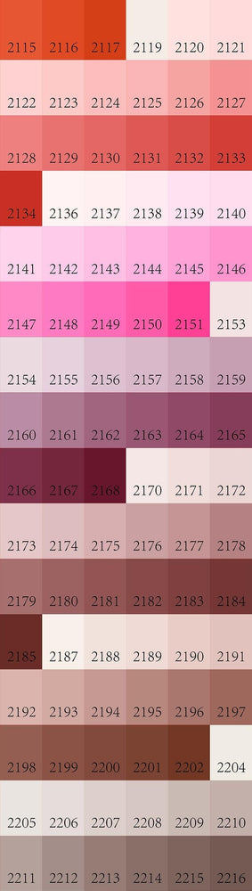 Extra Painting Set (24 Colors) (Online Order Only)