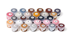 Extra Painting Set (24 Colors) (Online Order Only)
