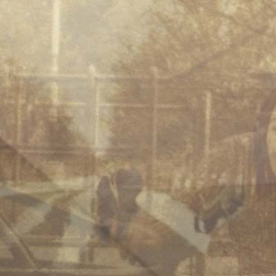 EZEKIEL HONIG - Folding In On Itself [Vinyl] (ONLINE ORDER ONLY)