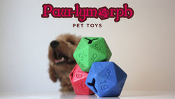 Paw-lymorph D20 Dog Toy: Green (ONLINE ORDER ONLY)
