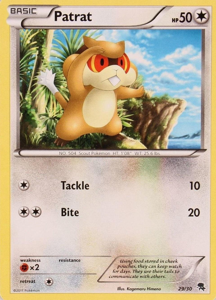 Patrat (29/30) [Black & White: Trainer Kit - Zoroark] (Online Only)