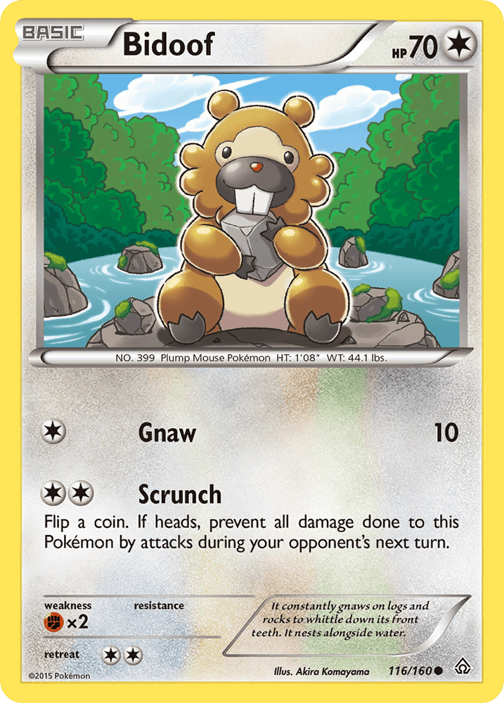 Bidoof (116/160) [XY: Primal Clash] (Online Only)