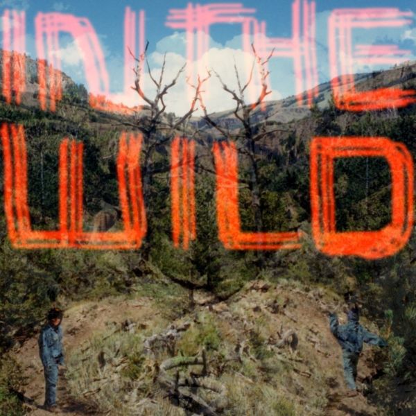 FaltyDL - In The Wild [Vinyl] (ONLINE ORDER ONLY)