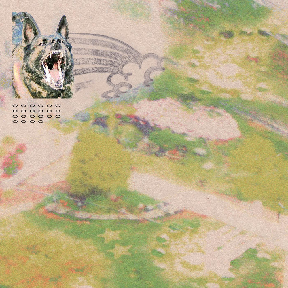 feeble little horse - Girl with Fish [Cassette] (ONLINE ORDER ONLY)